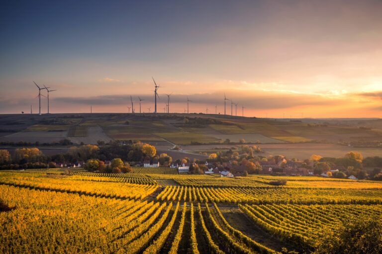 karsten-wurth-UbGYPMbMYP8-unsplash Bombas de Agua en la Agricultura Sostenible