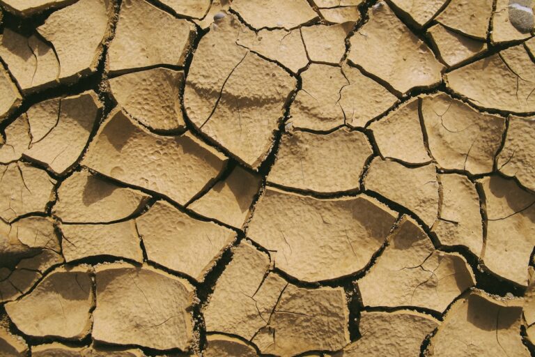 pexels-francesco-ungaro-1710813 Las ayudas contra la sequía llegarán a 118 millones para agricultores de C-LM